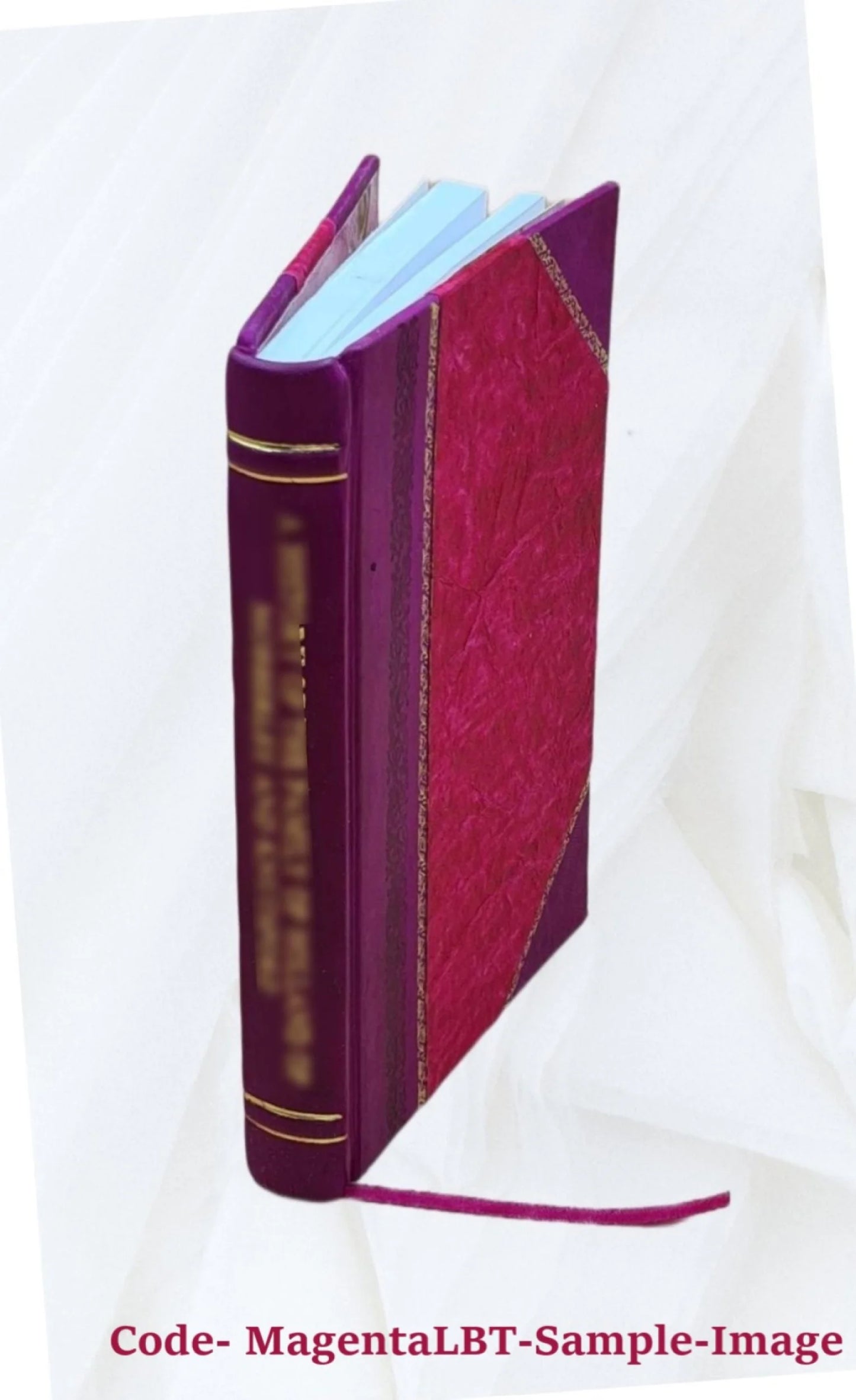 The theory of educational sloyd : the only authorized edition of the lectures of otto salomon. 1896 [leather bound]