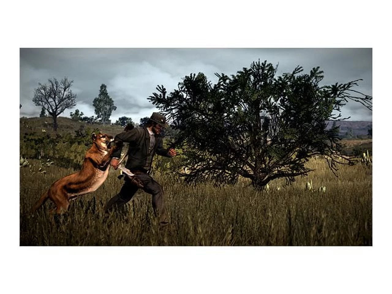 Xbox one red dead redemption 2