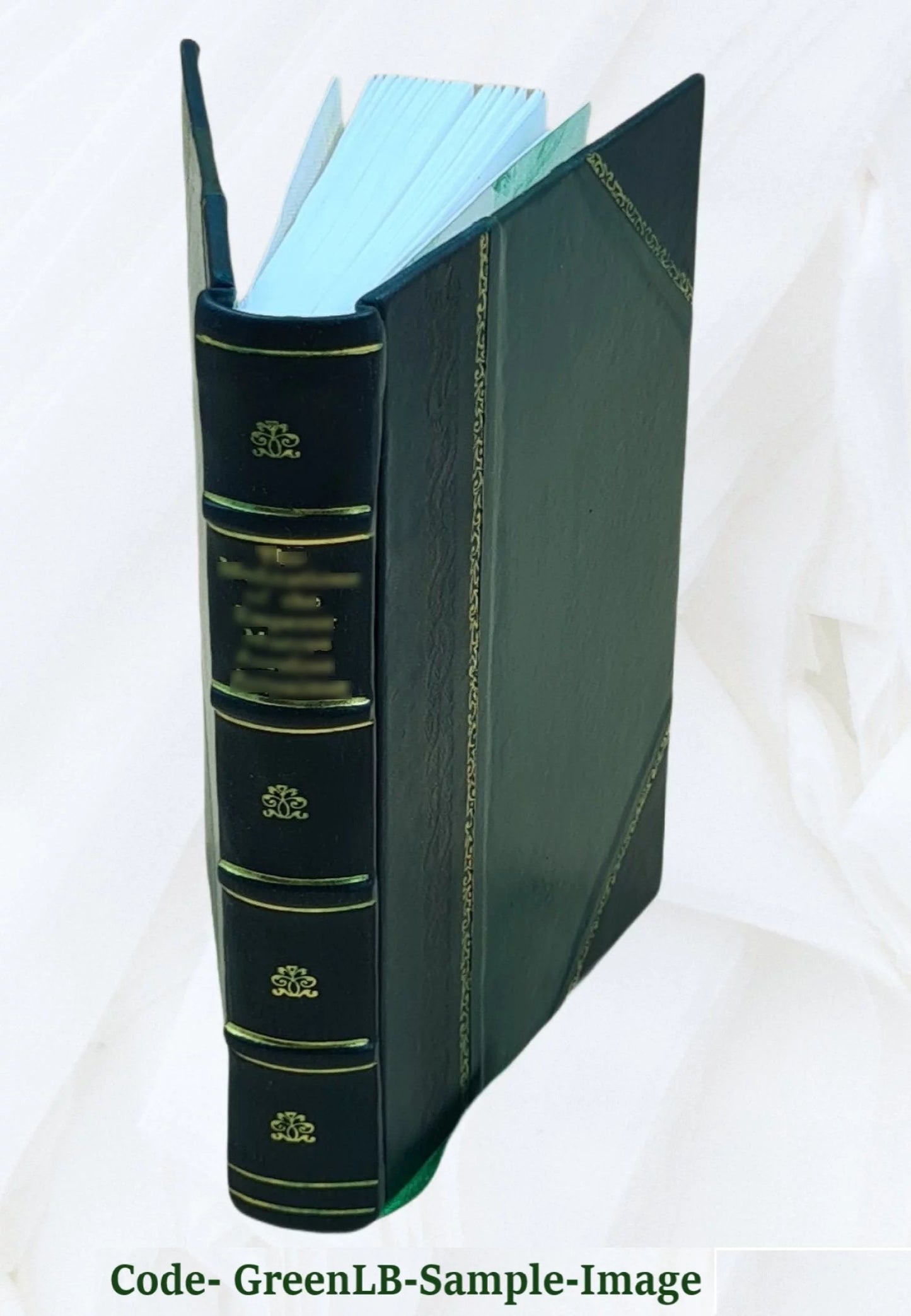 The colour of paris: historic, personal & local 1908 [leather bound]