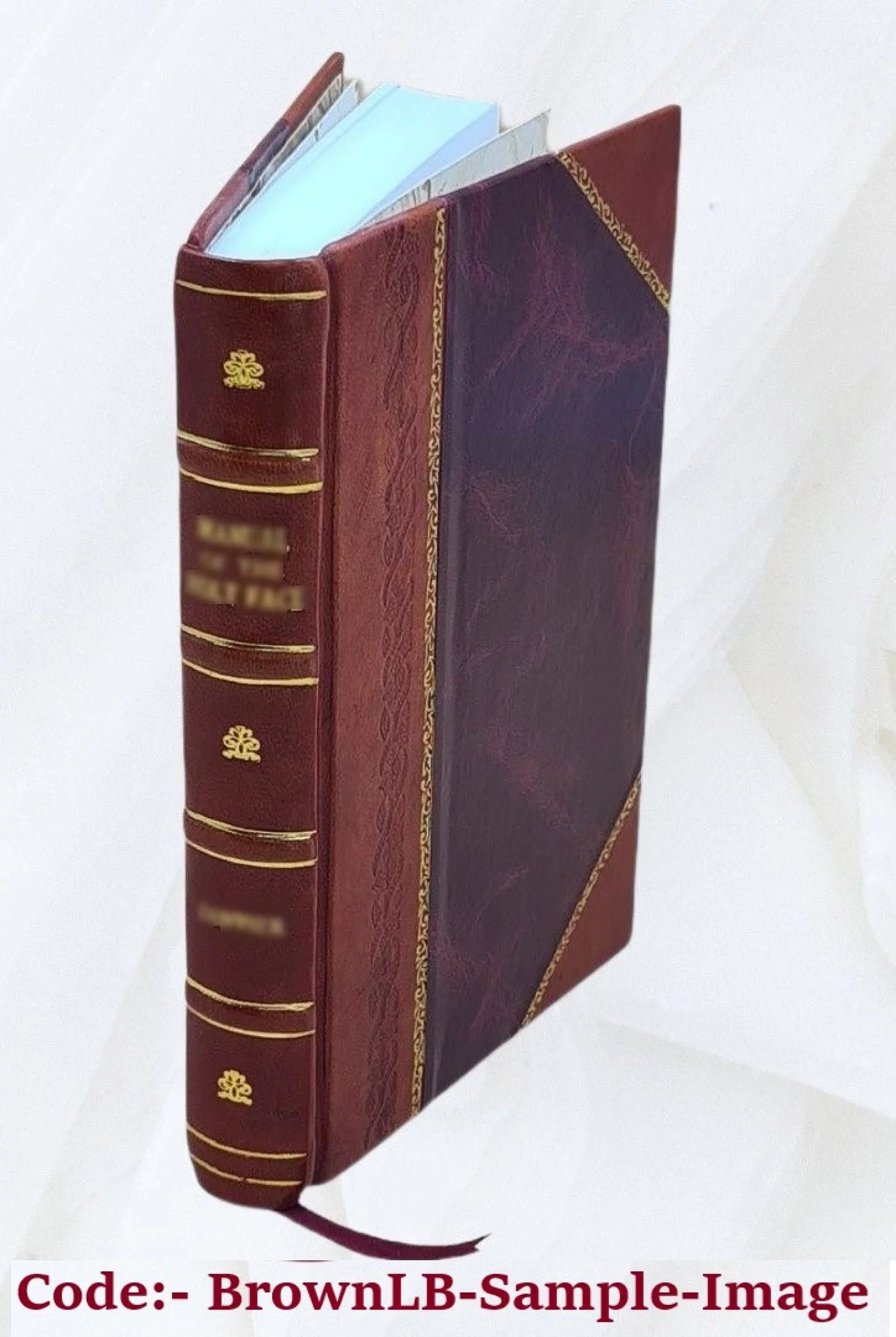 The colour of paris: historic, personal & local 1908 [leather bound]