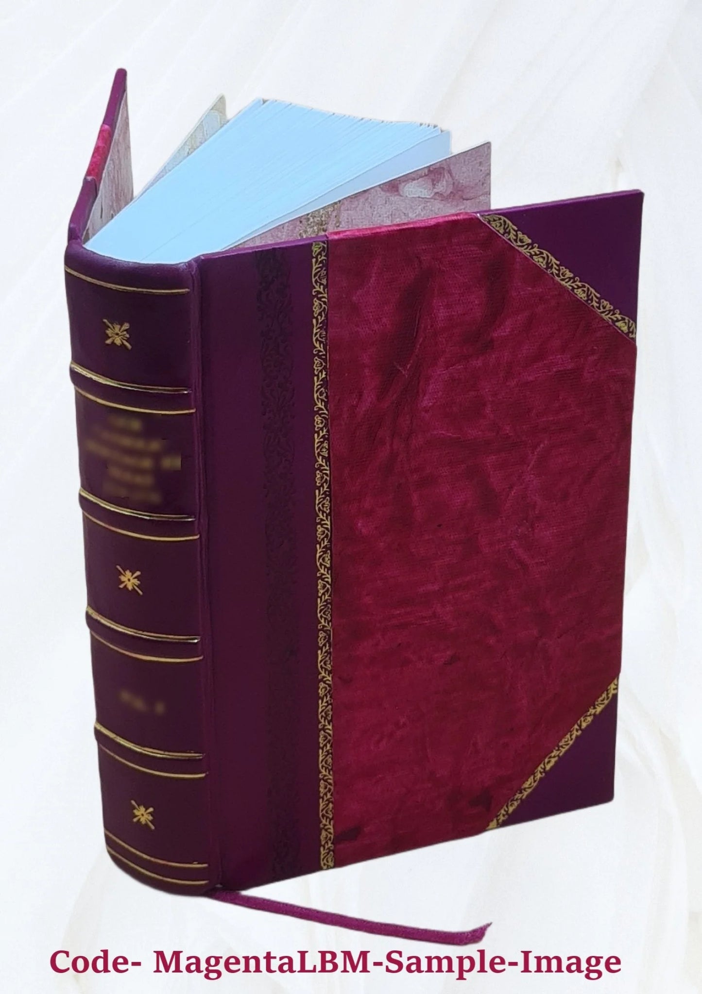 A system of the law of marine insurances; with three chapters on bottomry; on insurances on lives; on insurances against fire. by sir james allan park, knt volume v. 2 1842 [leather bound]