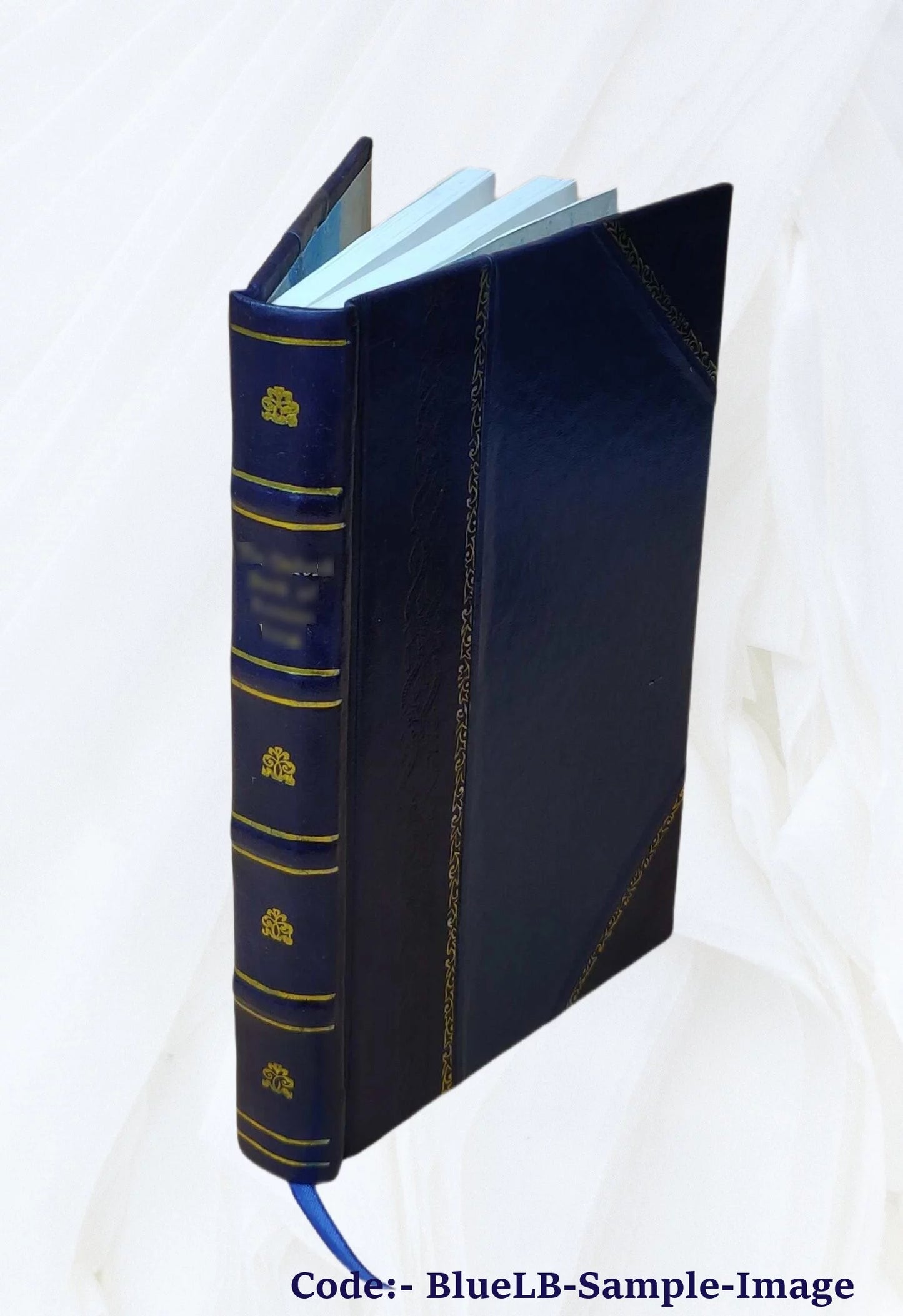 The colour of paris: historic, personal & local 1908 [leather bound]